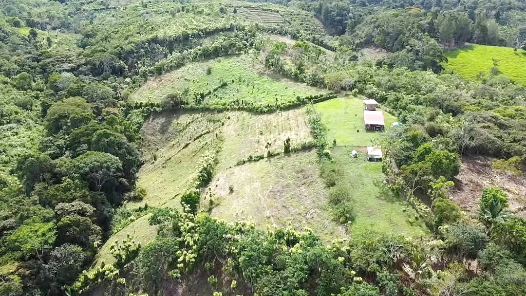 House 0507 - Maison Costa Rica Originally from the Gaspé, Viviane Morin and her spouse acquired a house in Costa Rica. Credit: Courtesy Viviane Morin despite pitfalls, they abandon quebec